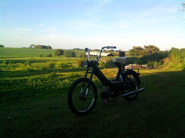 Puch Maxi K E50 *solgt* billede 7