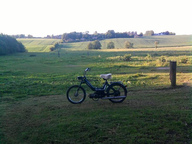 Puch Maxi K E50 *solgt* billede 8