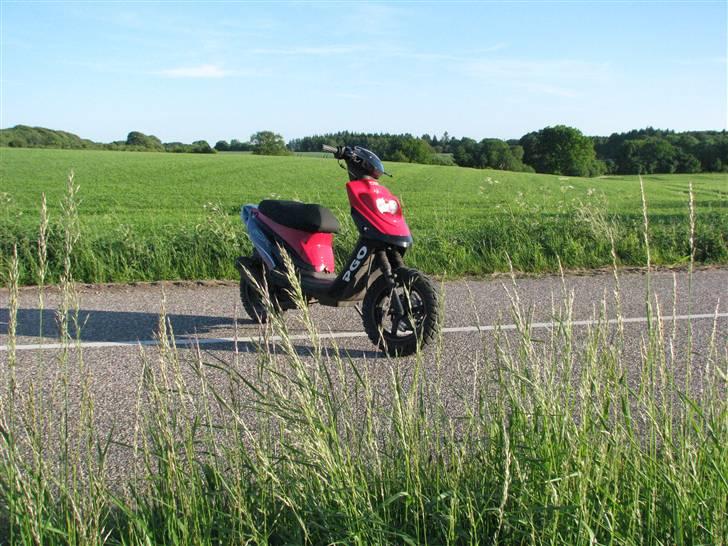 PGO Hot 50 [FØR] *byttet* billede 12