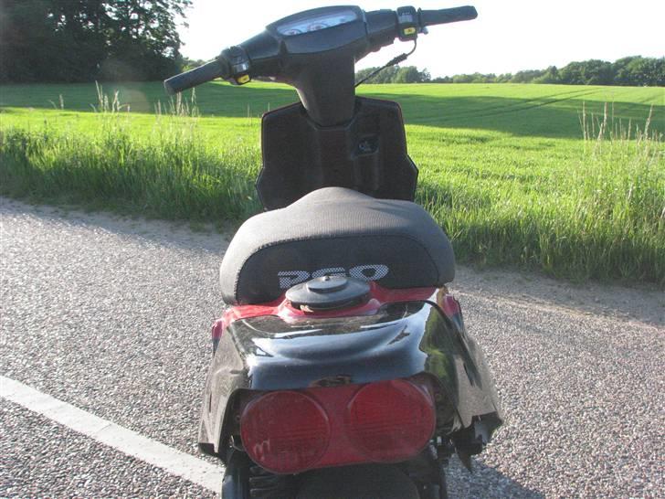 PGO Hot 50 [FØR] *byttet* billede 15