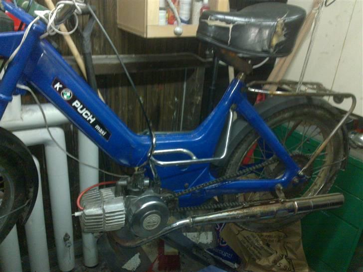 Puch Maxi k  1 EJER billede 19