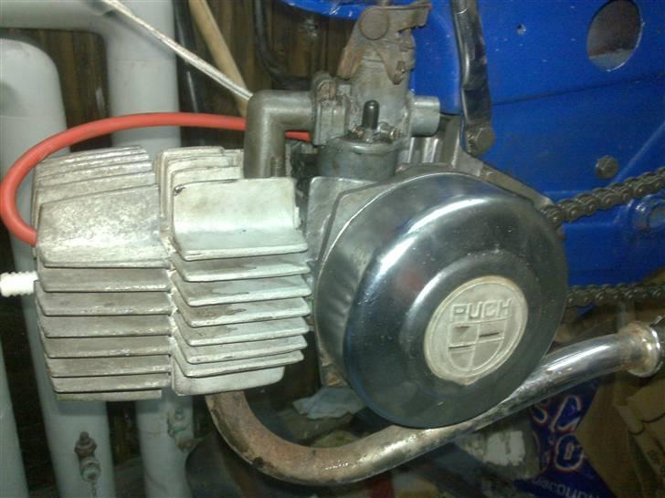 Puch Maxi k  1 EJER billede 20