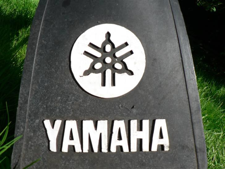 Yamaha fs1 lavet om til den blå^ billede 2