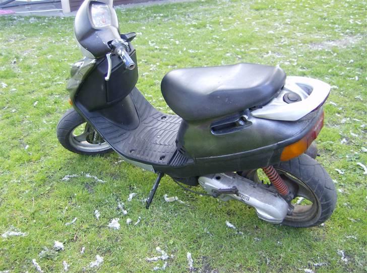 Adly Silverfox billede 6