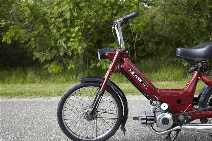 Puch Maxi k billede 8