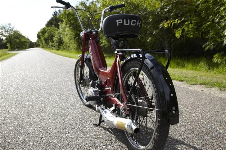 Puch Maxi k billede 10