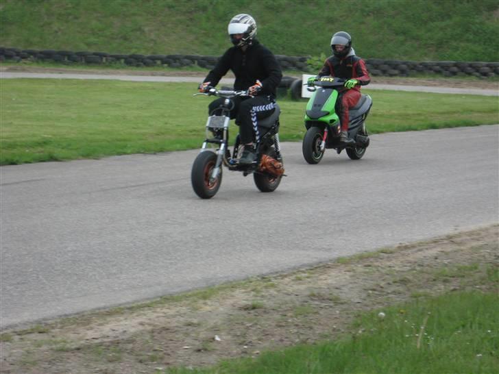 Gilera stalker lc ts  billede 8