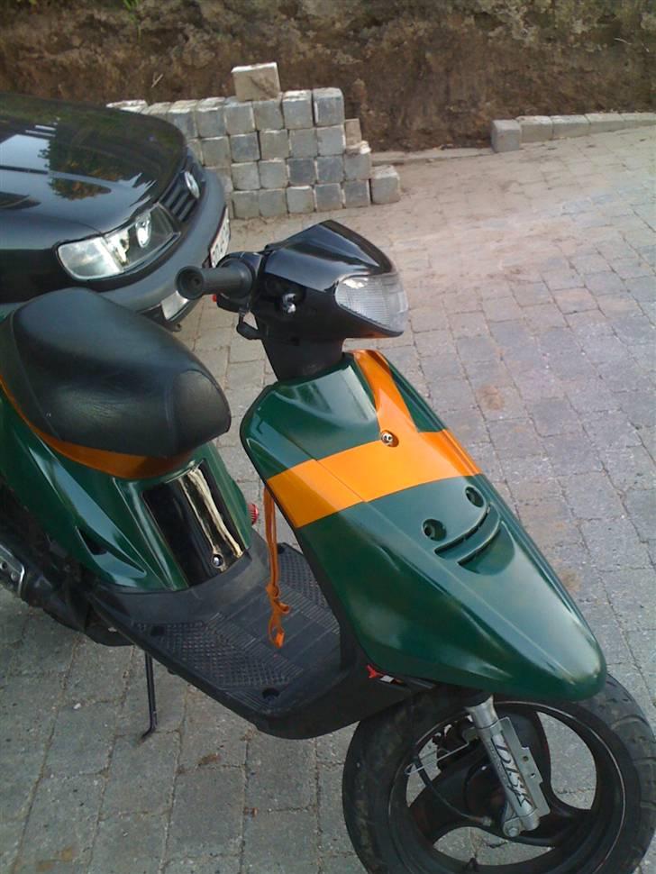 Adly cat 50 billede 1