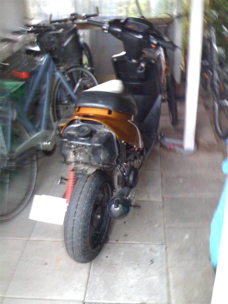 Adly cat 50 billede 2