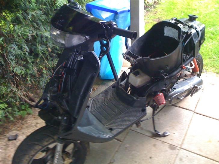 Adly cat 50 billede 5