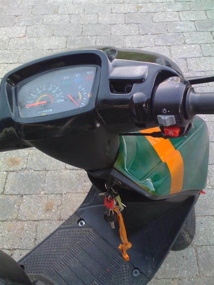 Adly cat 50 billede 9