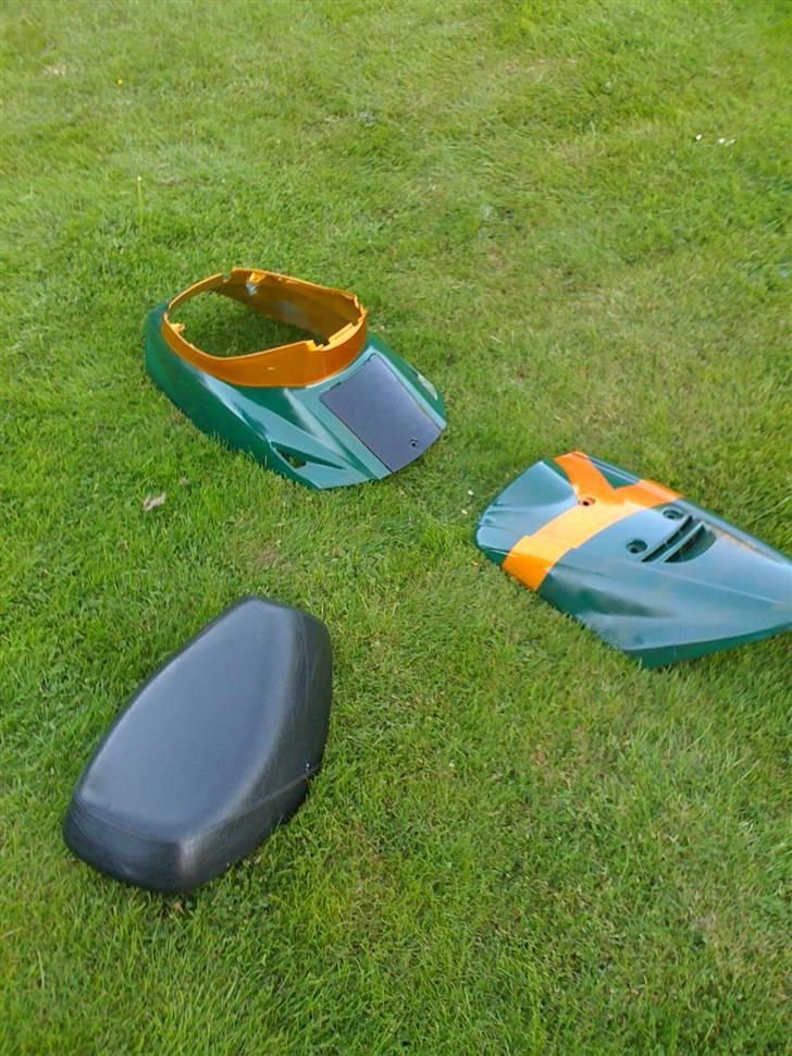 Adly cat 50 billede 10