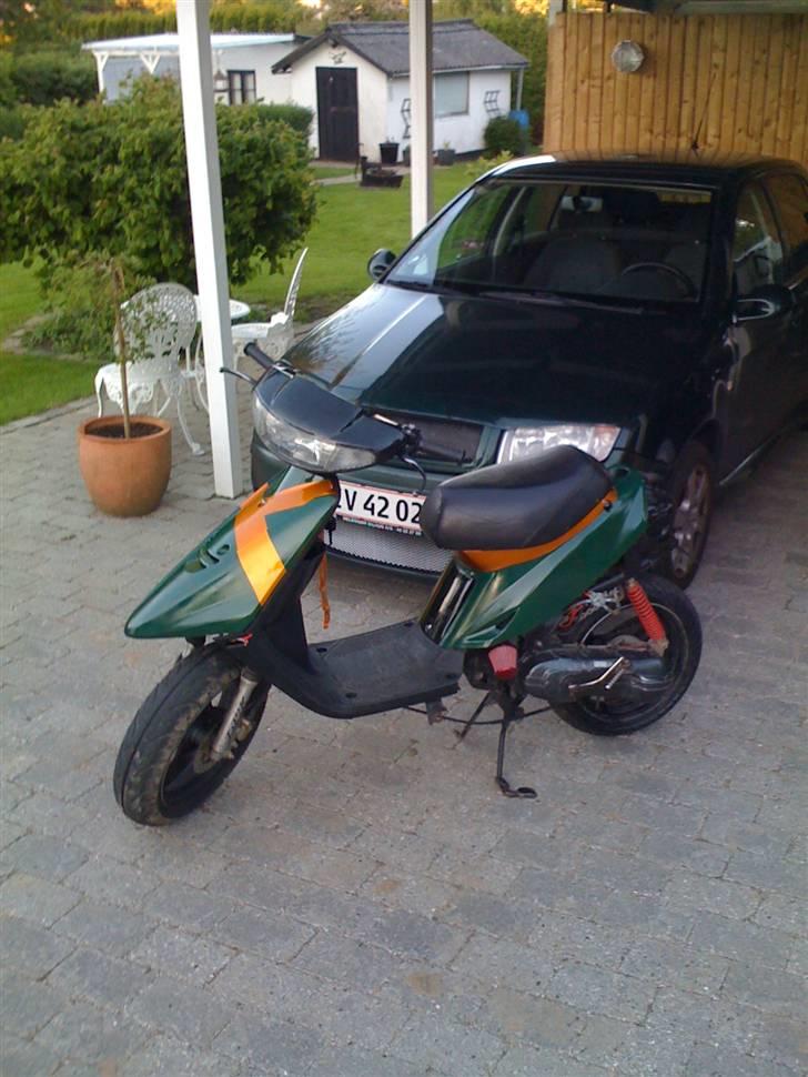 Adly cat 50 billede 11