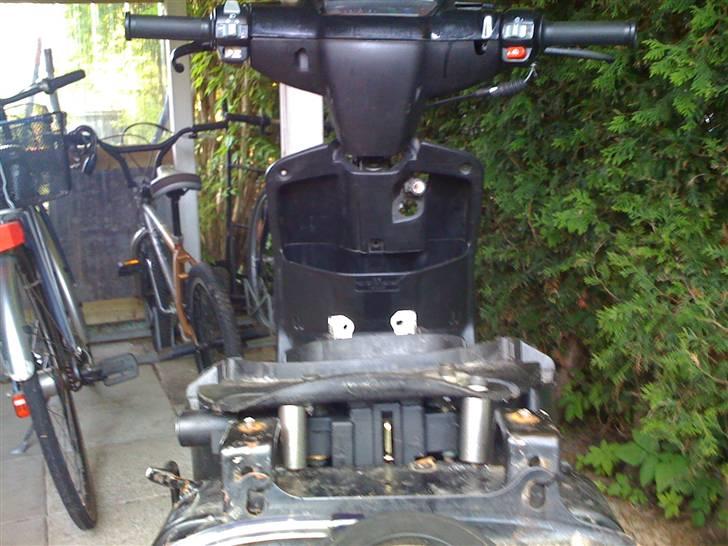 Adly cat 50 billede 12