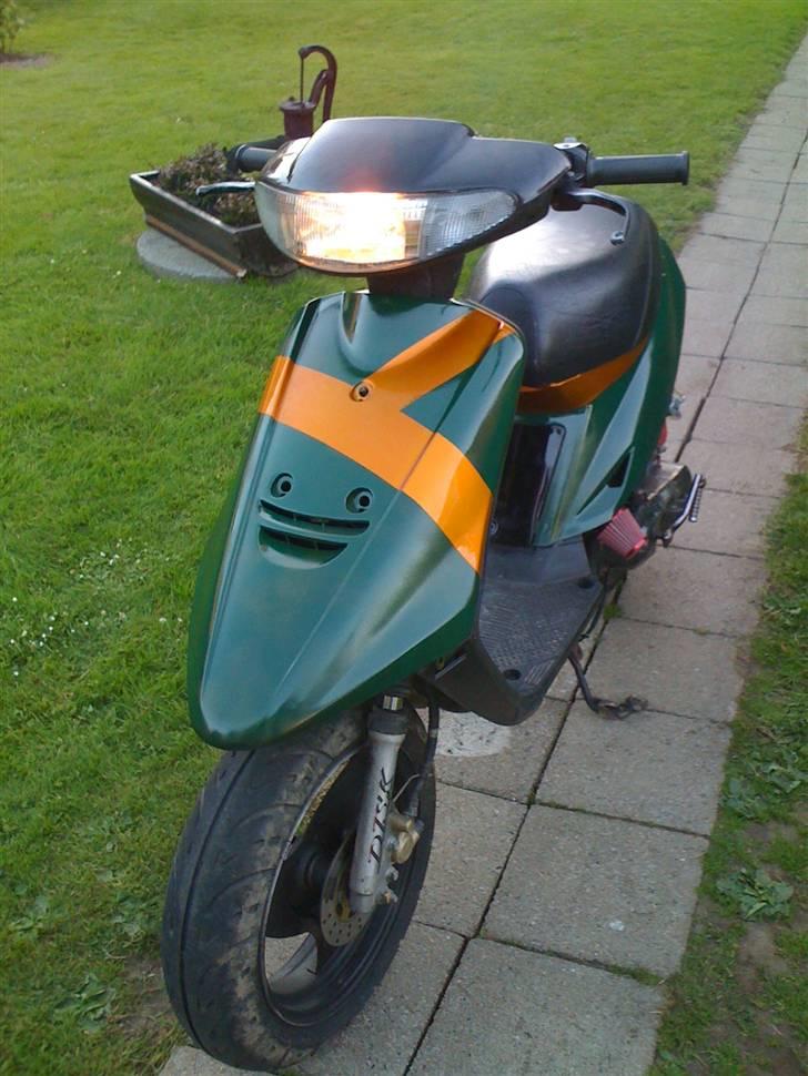 Adly cat 50 billede 16