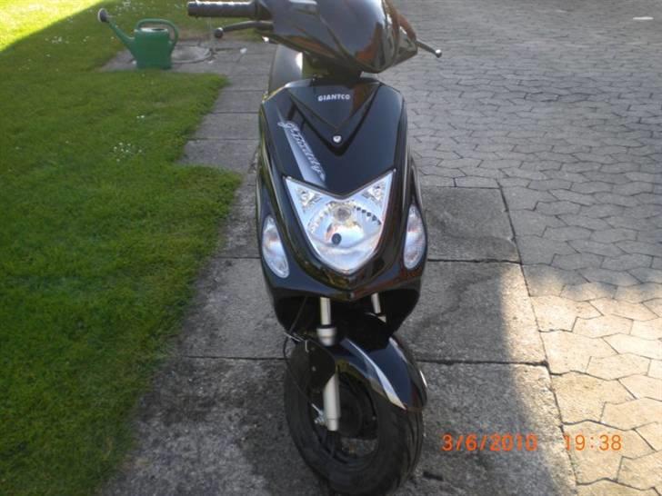 Giantco G-boddy billede 5