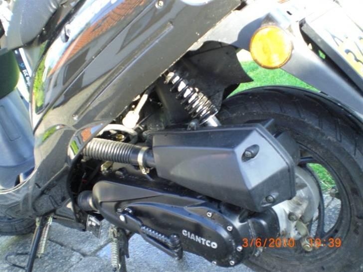 Giantco G-boddy billede 7