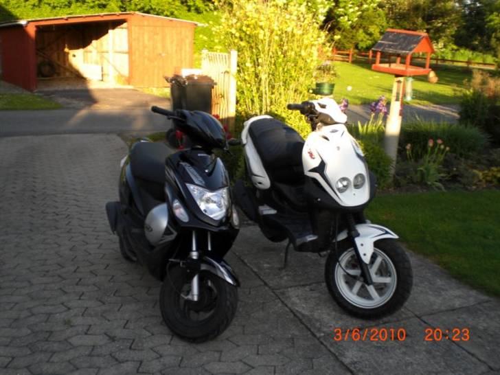 Giantco G-boddy billede 9