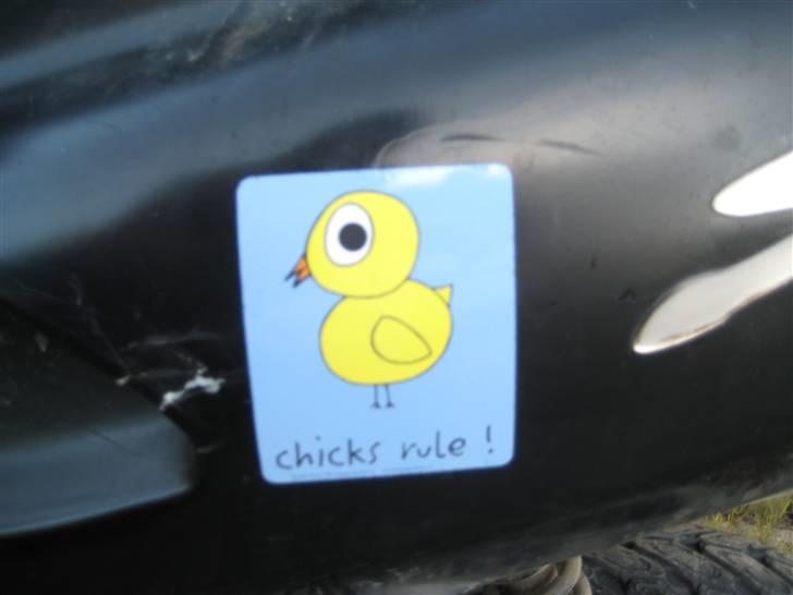 Honda SFX  billede 4