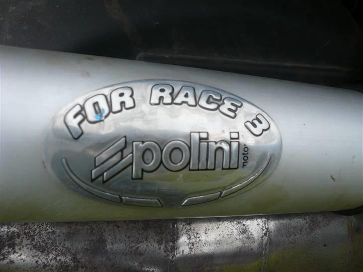 PGO hot 50 Solgt billede 10