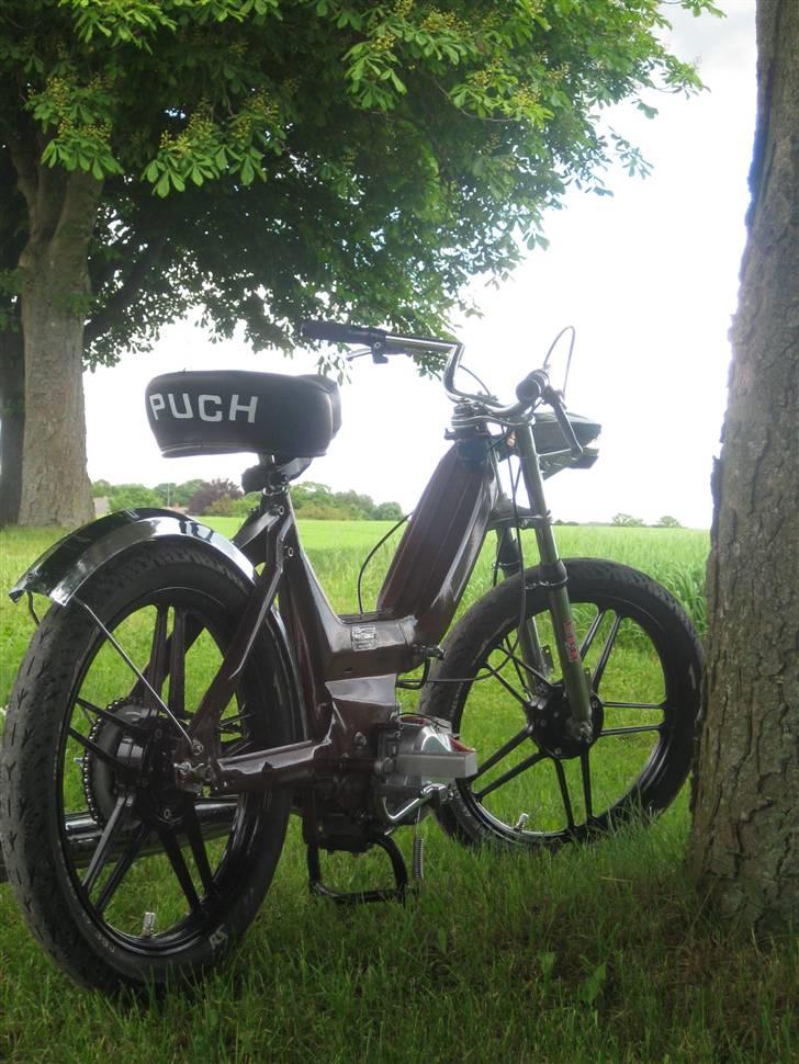 Puch Maxi E50 K MODEL*  billede 5