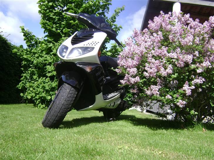 Peugeot Speedfight 2 "(SOLGT!)" billede 8