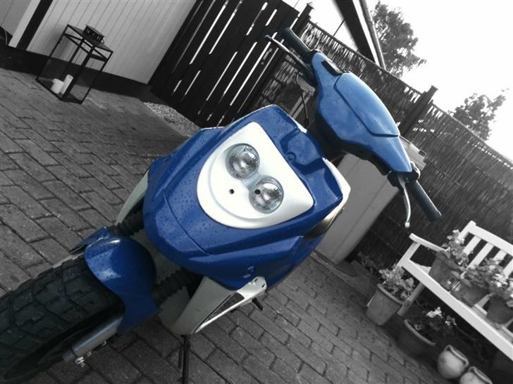 PGO Hot 50 'Zimba' =SOLGT= billede 1