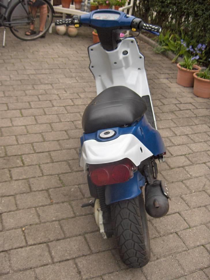 PGO Hot 50 'Zimba' =SOLGT= billede 4