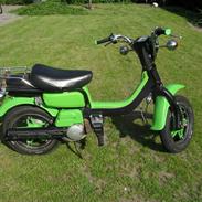 Suzuki Fz50