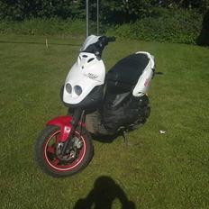 PGO pmx no fear Sofie Solgt