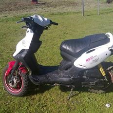 PGO pmx no fear Sofie Solgt