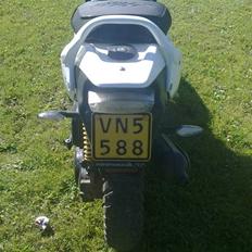 PGO pmx no fear Sofie Solgt