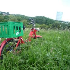Puch Maxi K E50 SOLGT