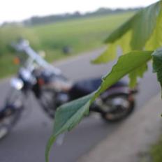 Kinroad Prince XT 50 Q 