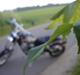 Kinroad Prince XT 50 Q 