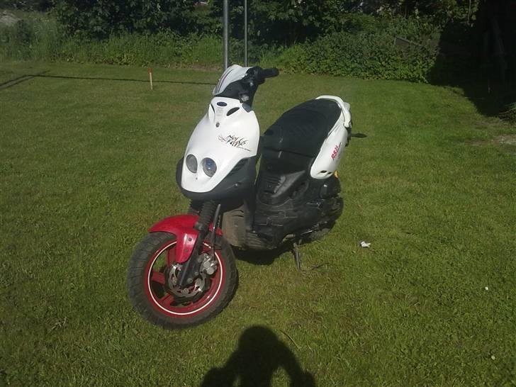 PGO pmx no fear Sofie Solgt billede 1