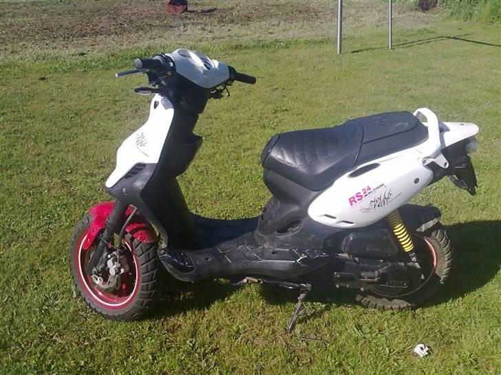 PGO pmx no fear Sofie Solgt billede 2