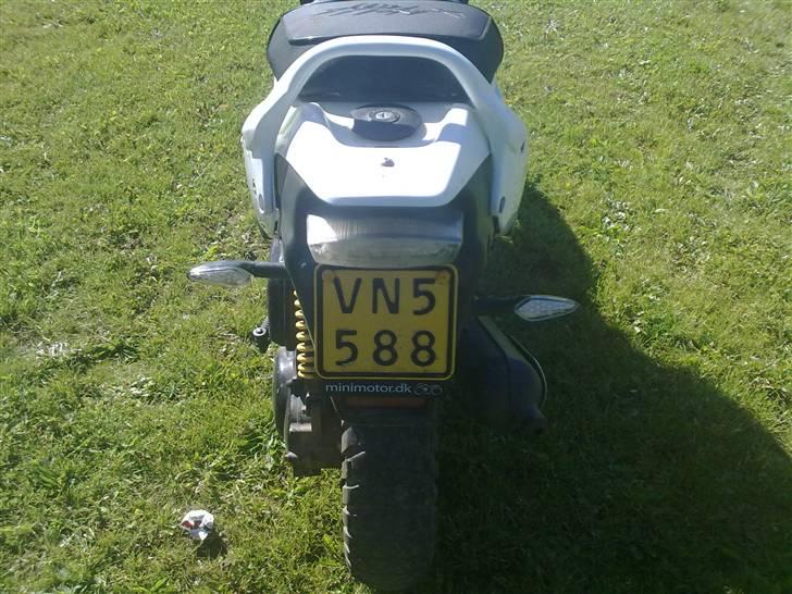 PGO pmx no fear Sofie Solgt billede 3