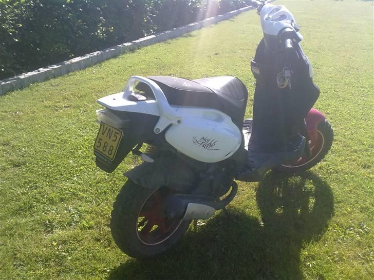 PGO pmx no fear Sofie Solgt billede 4