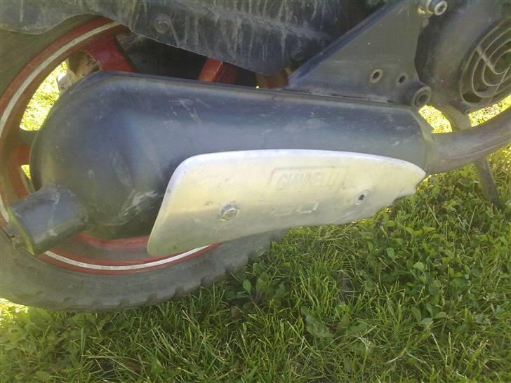 PGO pmx no fear Sofie Solgt billede 5