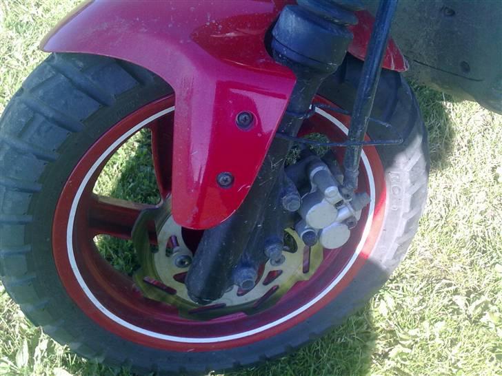 PGO pmx no fear Sofie Solgt billede 6