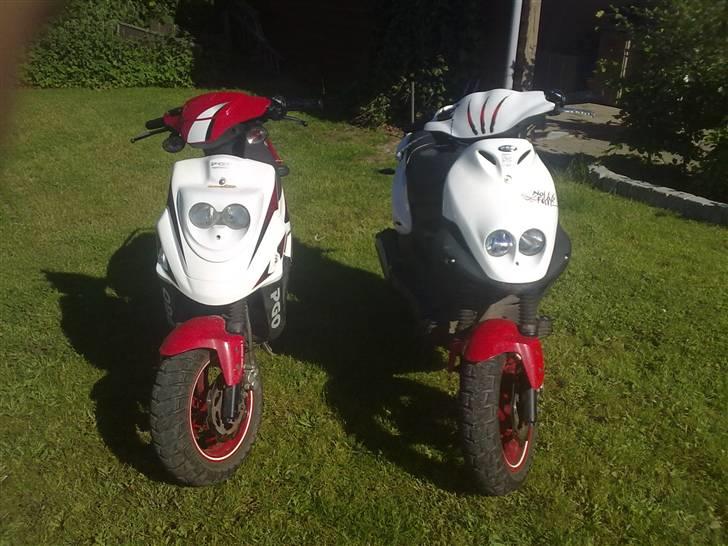 PGO pmx no fear Sofie Solgt billede 7