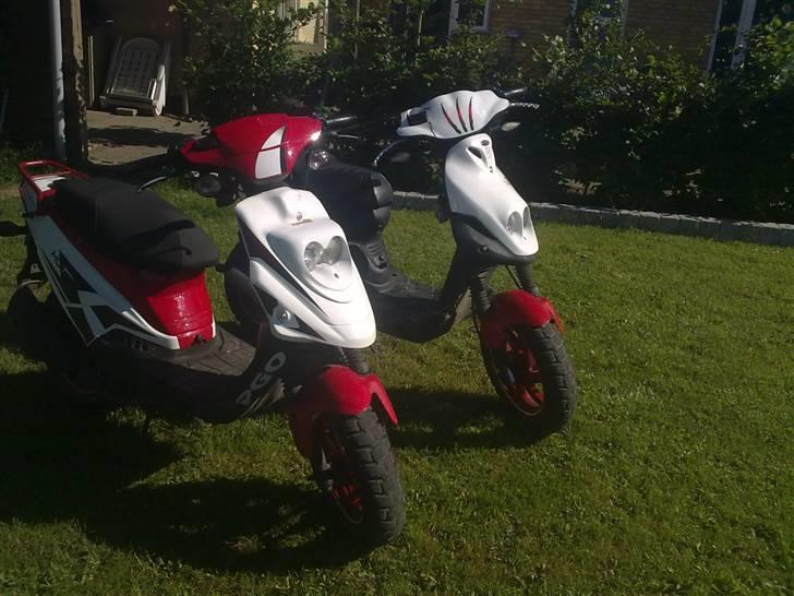 PGO pmx no fear Sofie Solgt billede 8