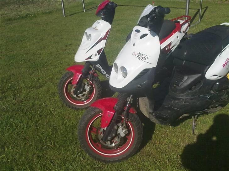 PGO pmx no fear Sofie Solgt billede 9