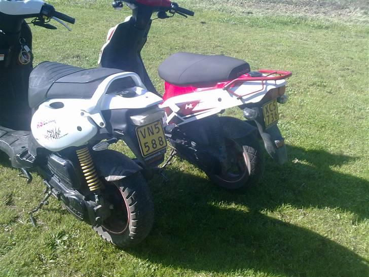 PGO pmx no fear Sofie Solgt billede 10