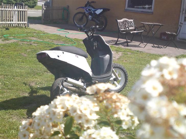 PGO hot 50 Ac :) solgt billede 10