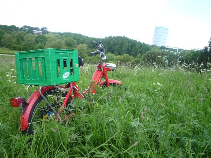 Puch Maxi K E50 SOLGT billede 3