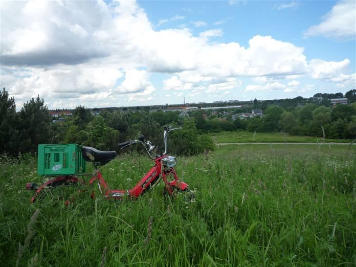 Puch Maxi K E50 SOLGT billede 4