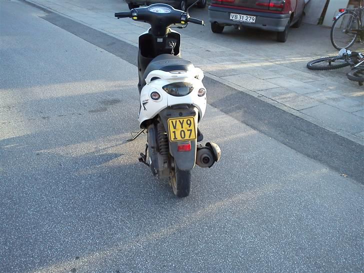 PGO white magic billede 6