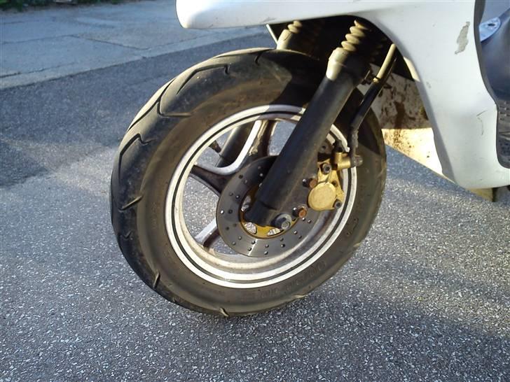 PGO white magic billede 9